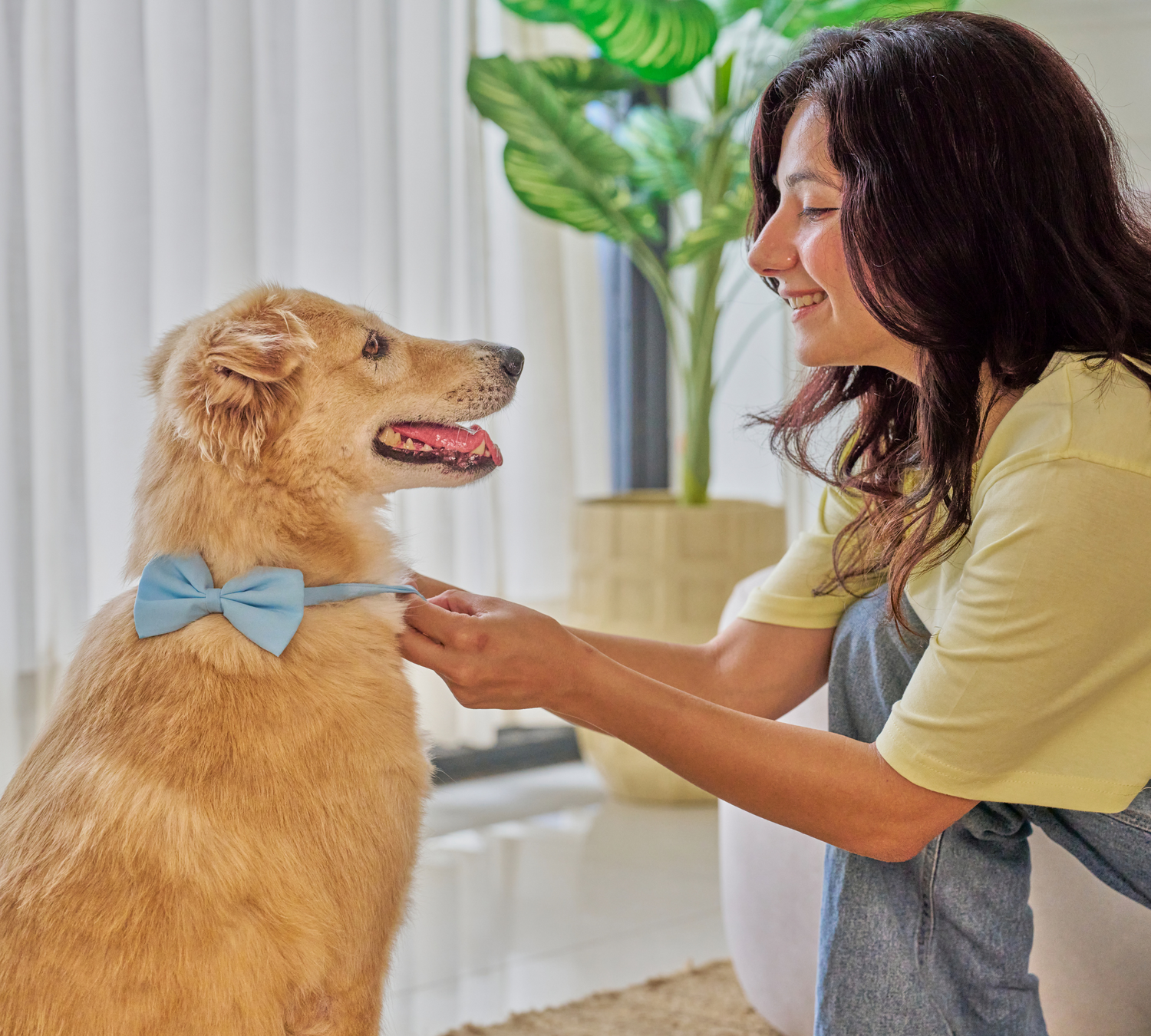Pet Apparel