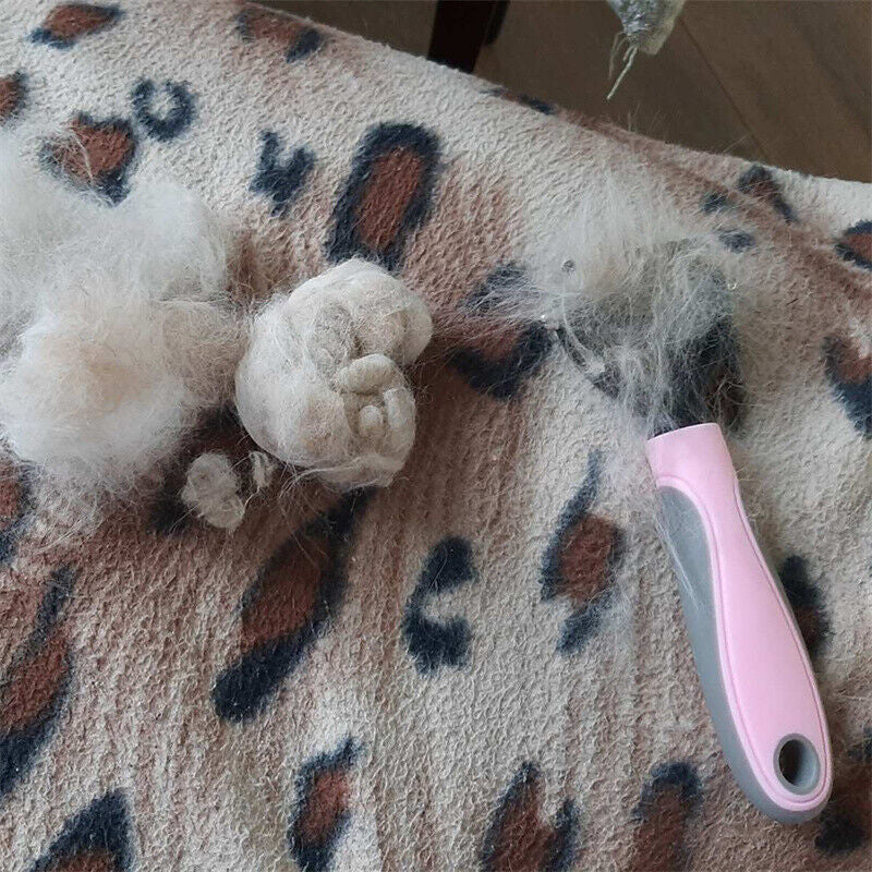 Undercoat Grooming Brush for Healthy, Shed-Free Pets