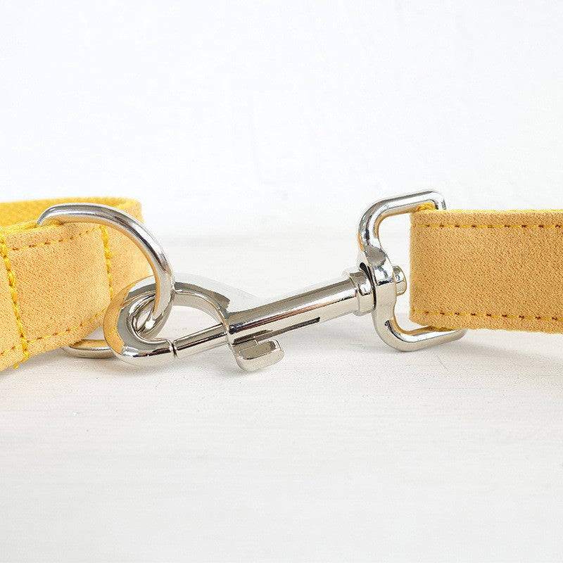 Dog Collar & Traction Rope