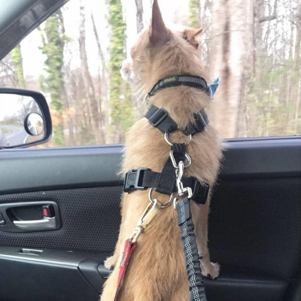 Adjustable Dog Seatbelt