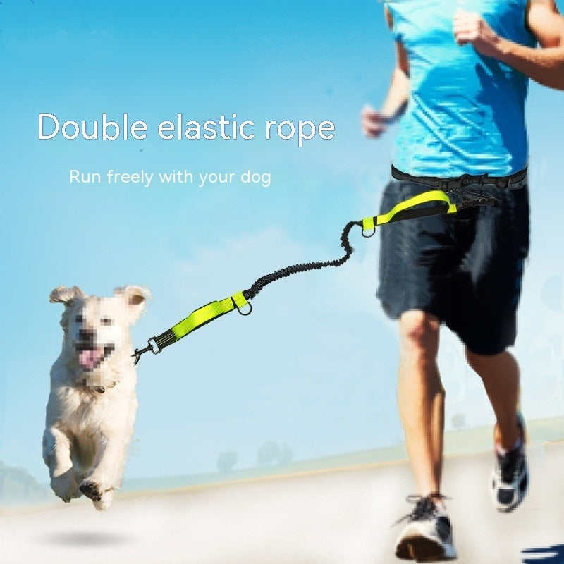 Strong, Comfy Dog Leash for Happy Daily Adventures