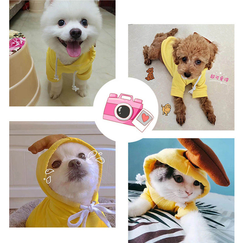 Cute Fruit Dog Hoodie