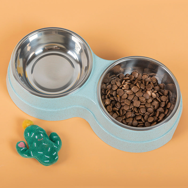 Stainless Steel Pet Bowls – Keep Meals Fresh & Tidy