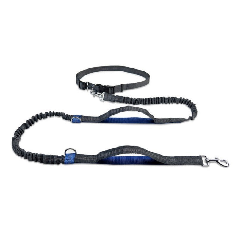 Strong, Comfy Dog Leash for Happy Daily Adventures