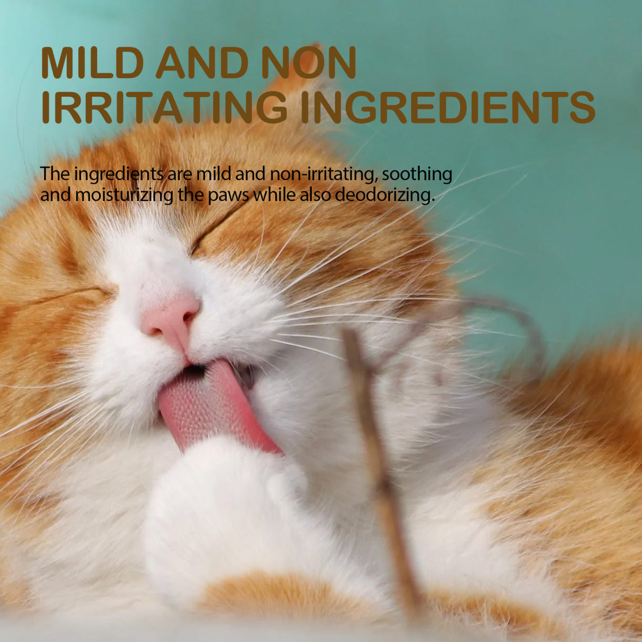 Pet Avocado Paw Balm