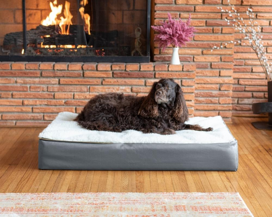 Best Orthopedic Dog Beds for Older Dogs