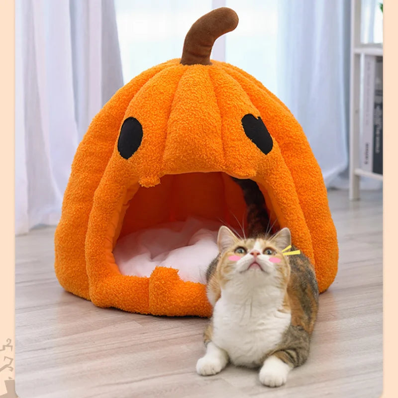 Seasonal & Holiday
