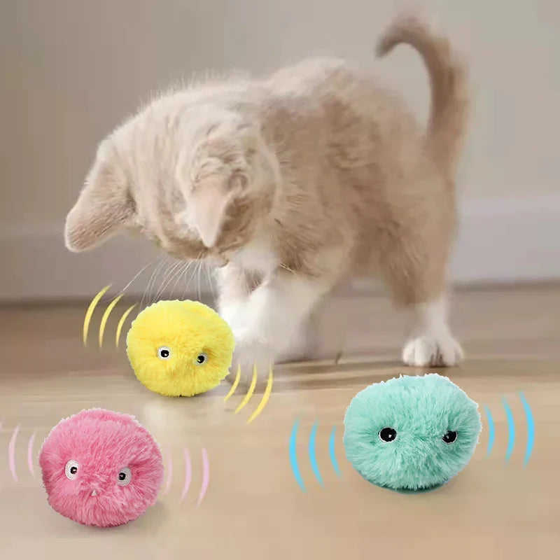Pet Toys