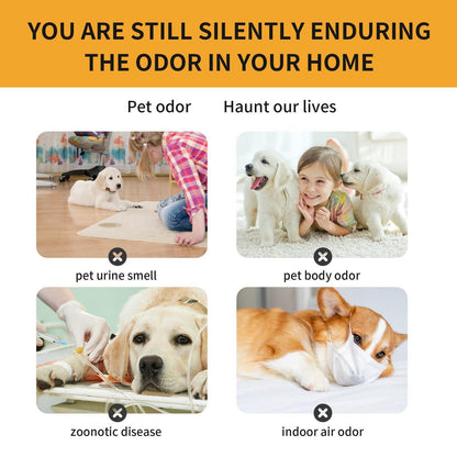 Pet Fabric Deodorizer Spray – Long-Lasting Indoor Air Freshener for Pets