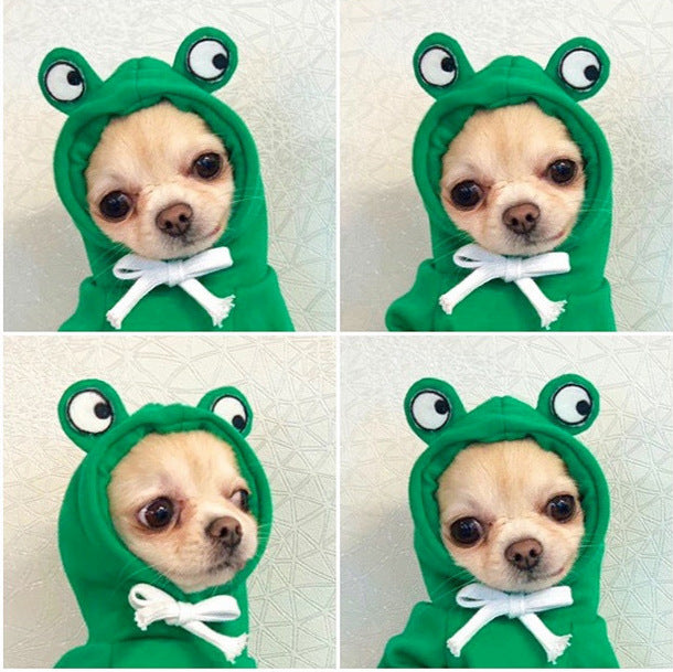 Cute Fruit Dog Hoodie
