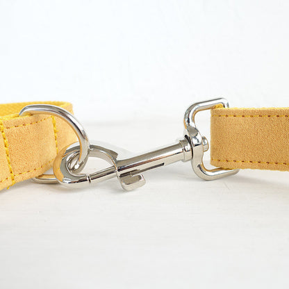 Dog Collar & Traction Rope