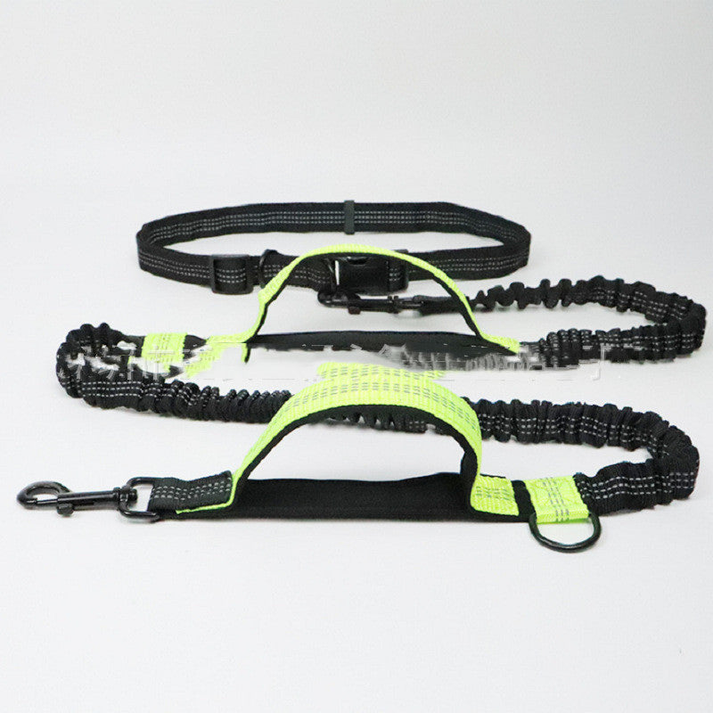 Strong, Comfy Dog Leash for Happy Daily Adventures