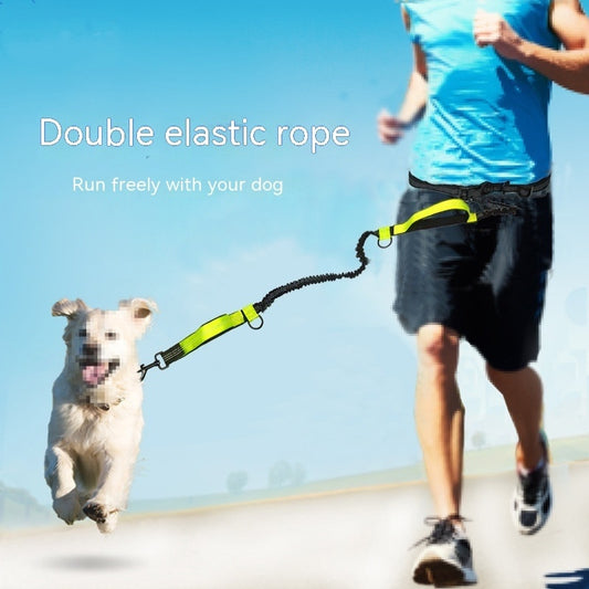 Strong, Comfy Dog Leash for Happy Daily Adventures