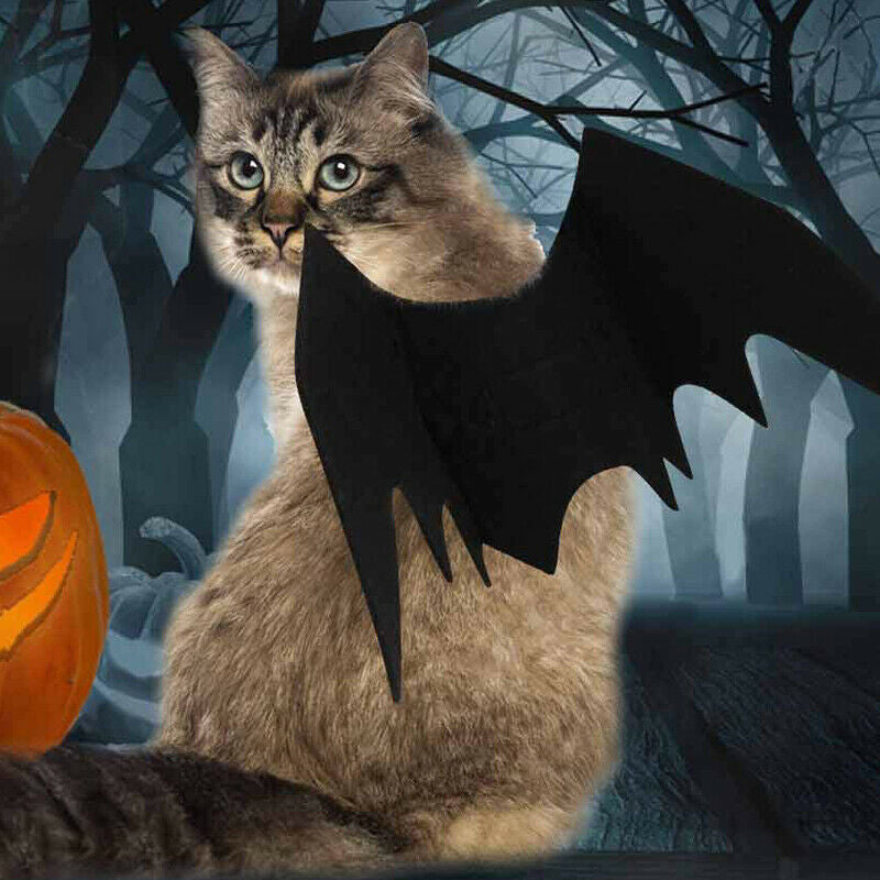 Halloween Pets Wing Costumes for Dogs Cats Pet Black Bats Wings Funny Costume