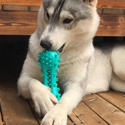 Aggressive Dog Chew Toy
