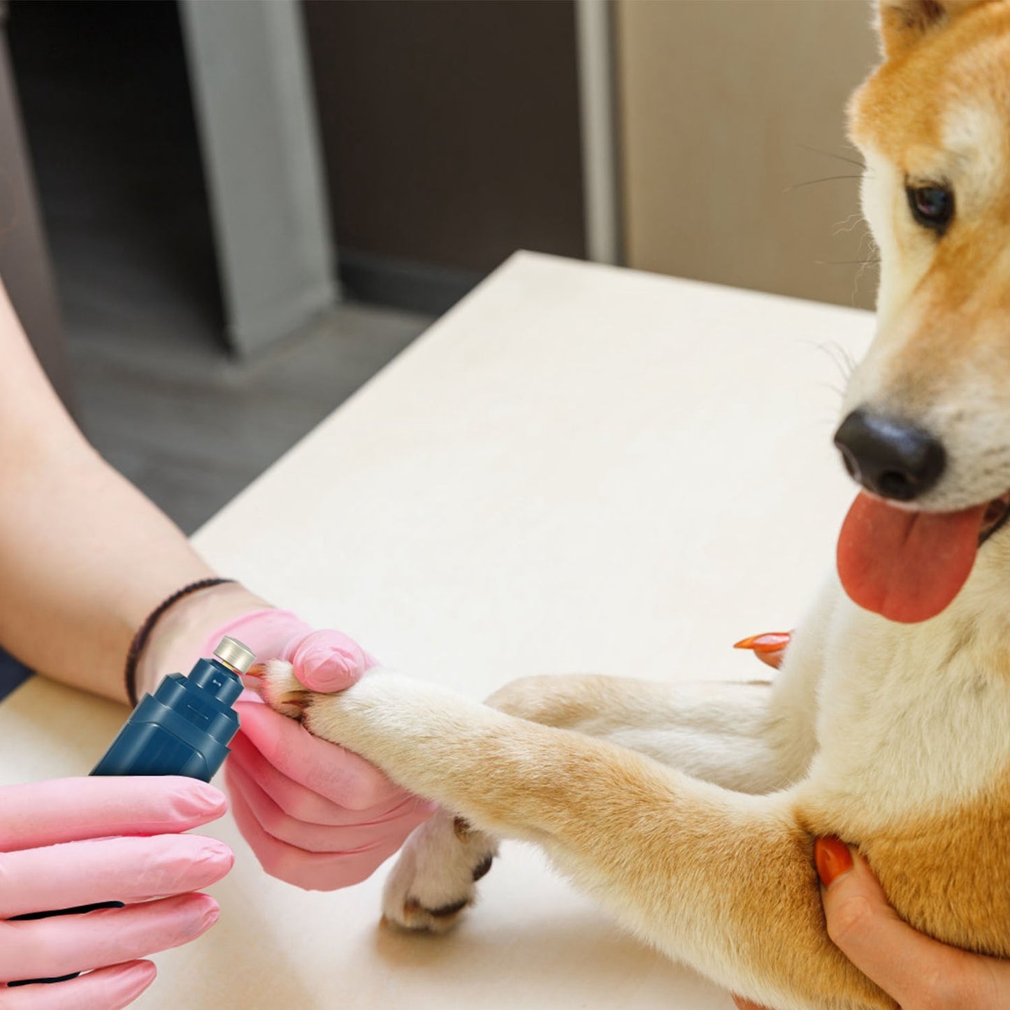 USB Rechargeable Dog Nail Grinder