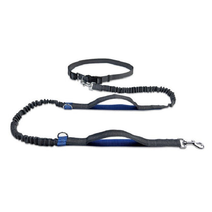 Strong, Comfy Dog Leash for Happy Daily Adventures