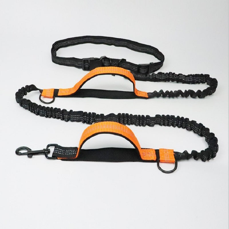 Strong, Comfy Dog Leash for Happy Daily Adventures