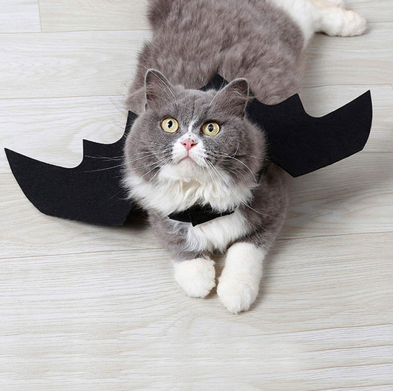 Halloween Pets Wing Costumes for Dogs Cats Pet Black Bats Wings Funny Costume