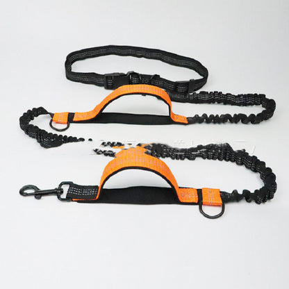 Strong, Comfy Dog Leash for Happy Daily Adventures